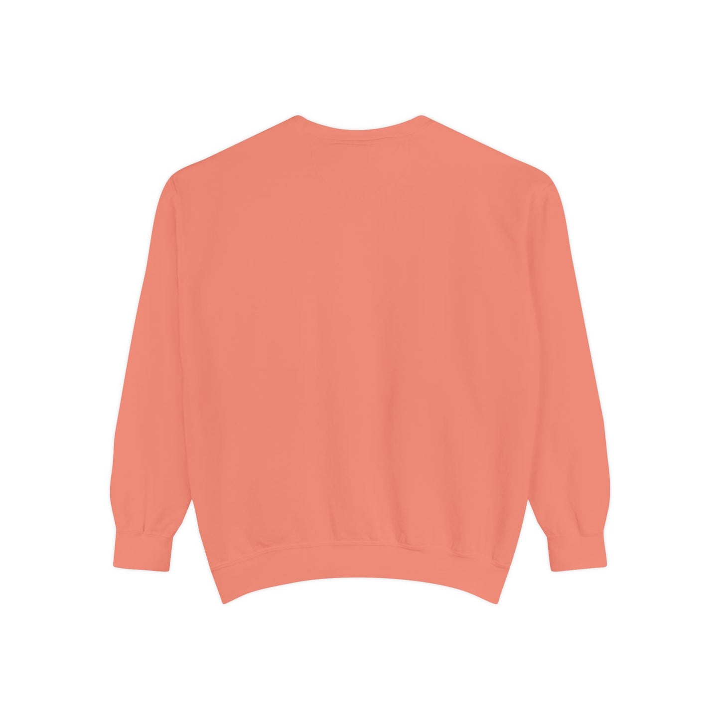 Photographer Sweatshirt - Terracotta
