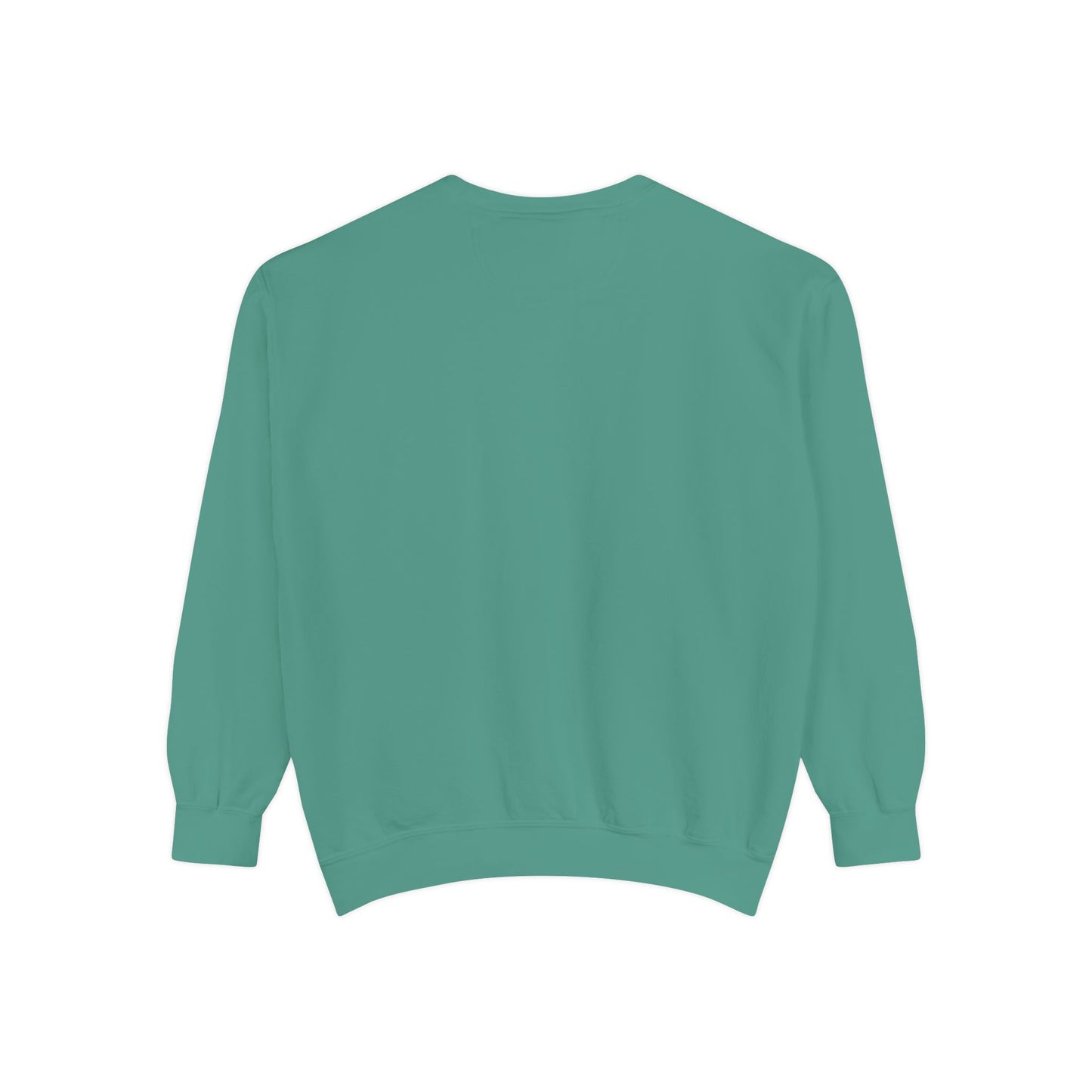 Photographer Sweatshirt - Teal